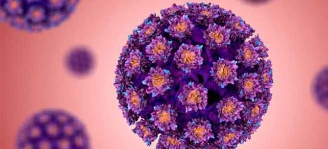 HPV – cilvēka papilomas vīruss